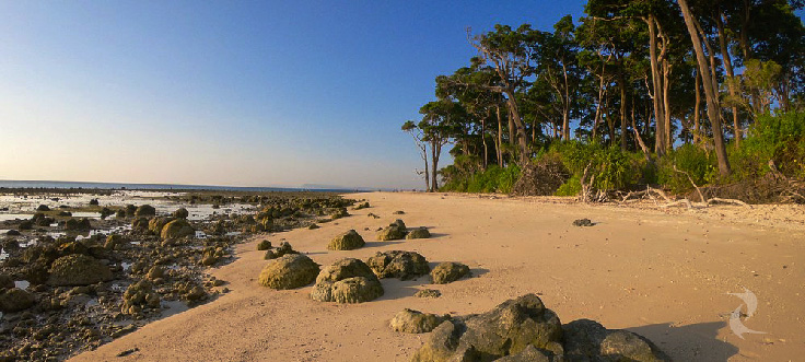 Laxmanpur Beach